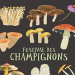 Fungi Fest Concordia!