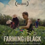 Farming While Black