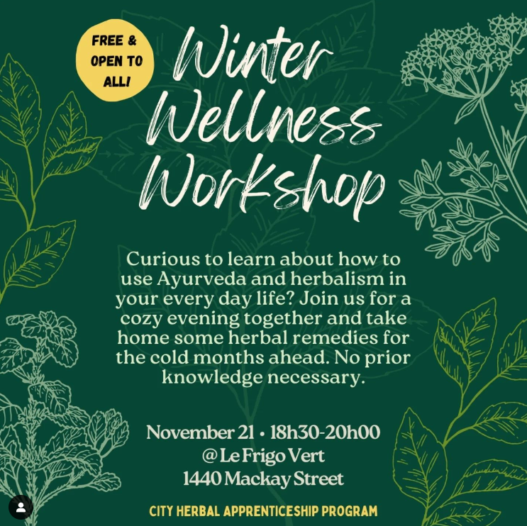 Winter Wellness Workshop