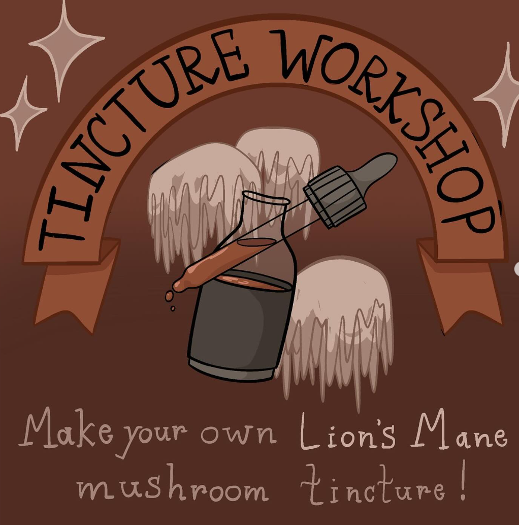 Make Your Own Tincture: Lions Mane Mushrooms