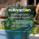 Microgreen drop-in volunteer hours