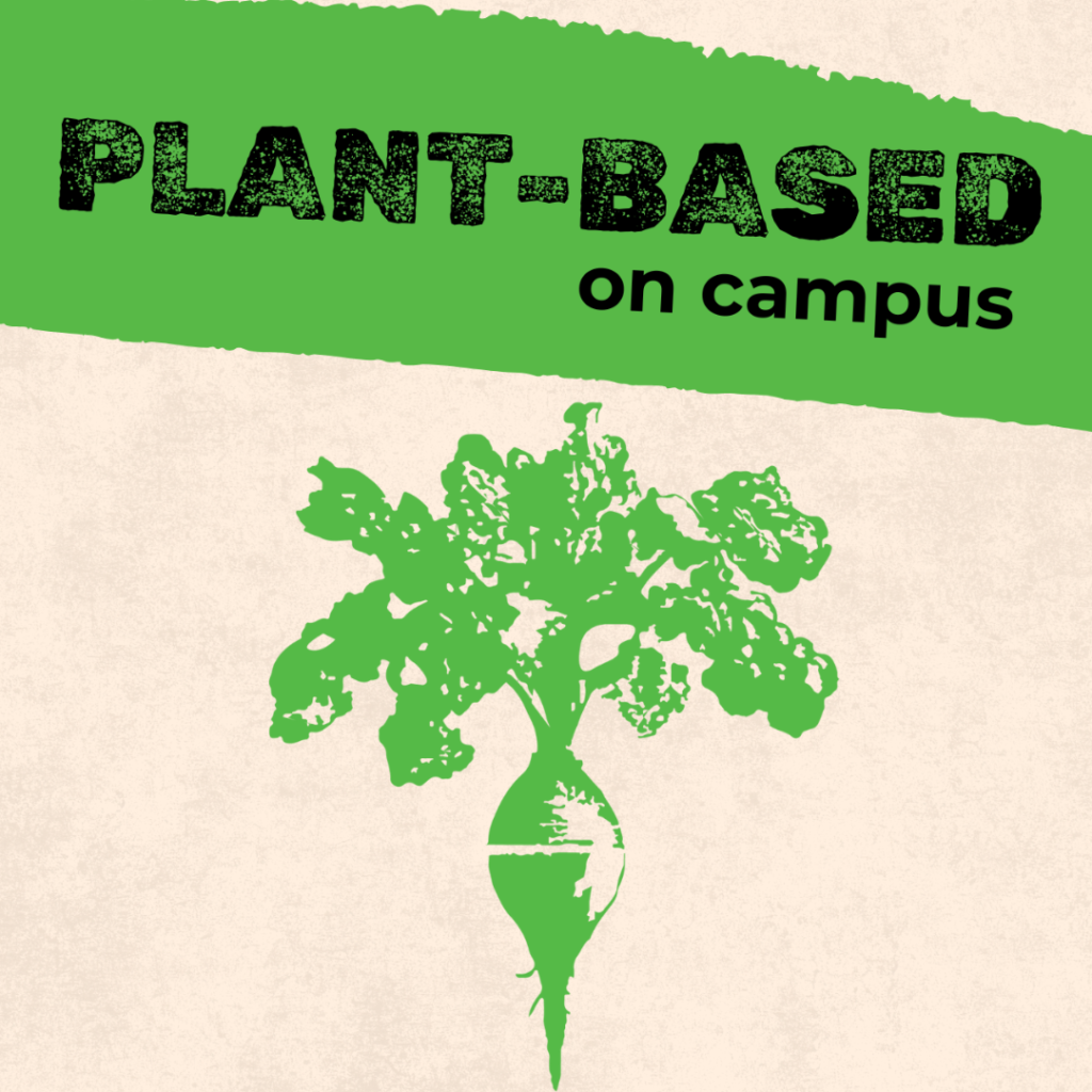 Plant based Square
