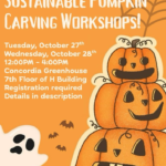 Sustainable Pumpkin Carving Workshop